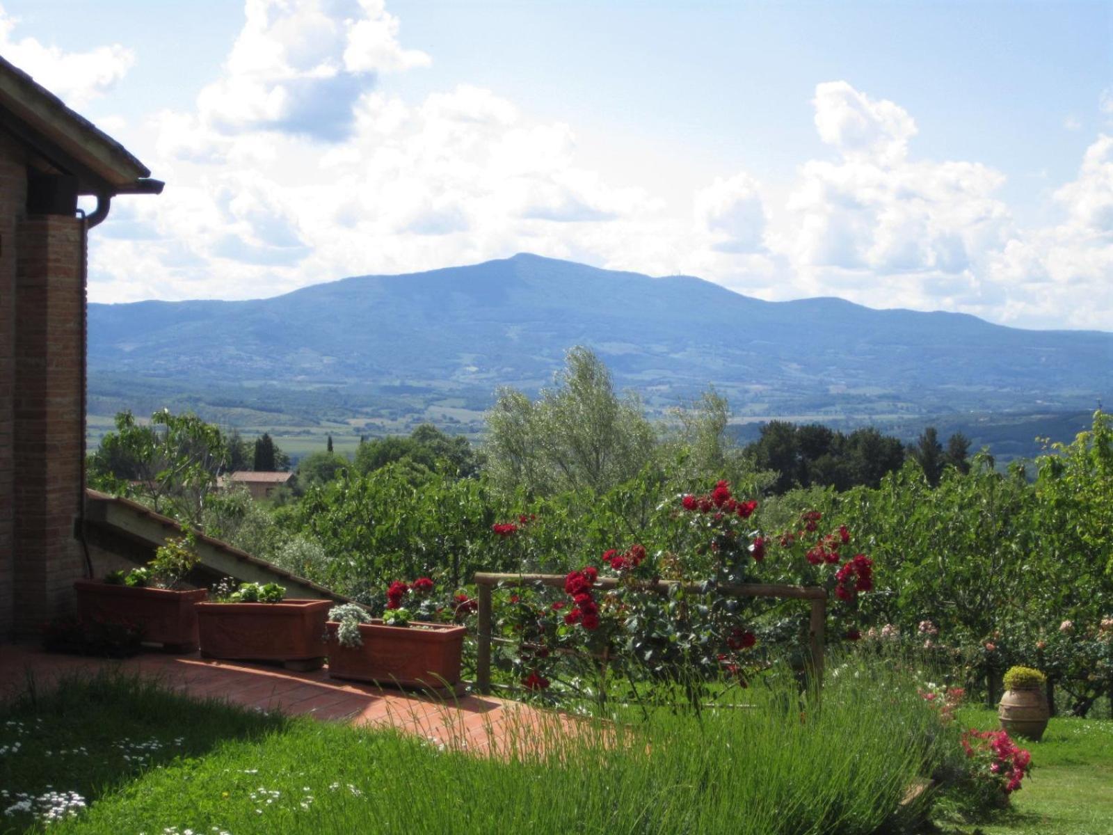 Agriturismo Cornieto Monteleone d'Orvieto Exterior photo