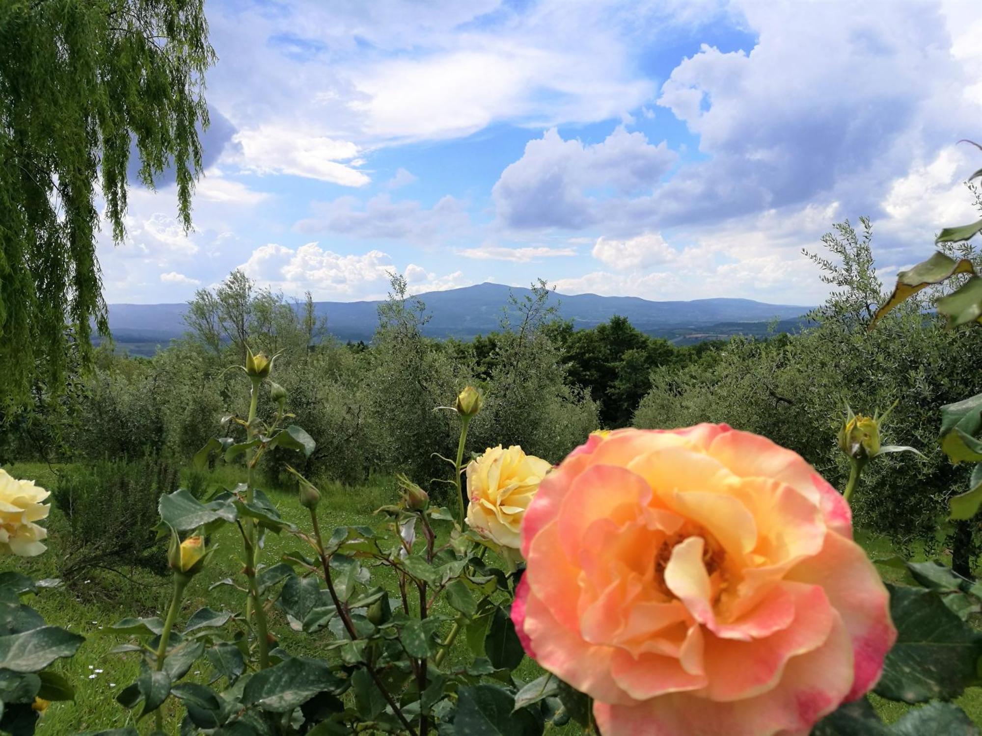 Agriturismo Cornieto Monteleone d'Orvieto Exterior photo