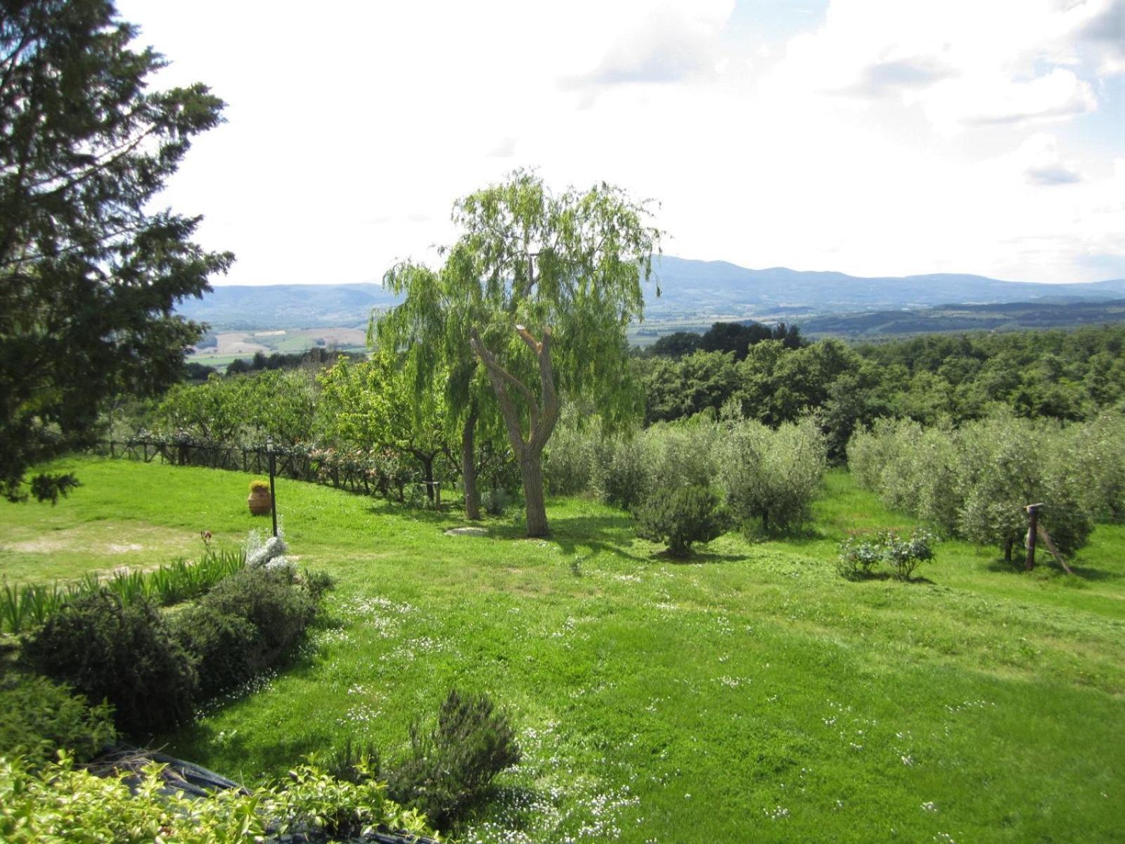 Agriturismo Cornieto Monteleone d'Orvieto Exterior photo