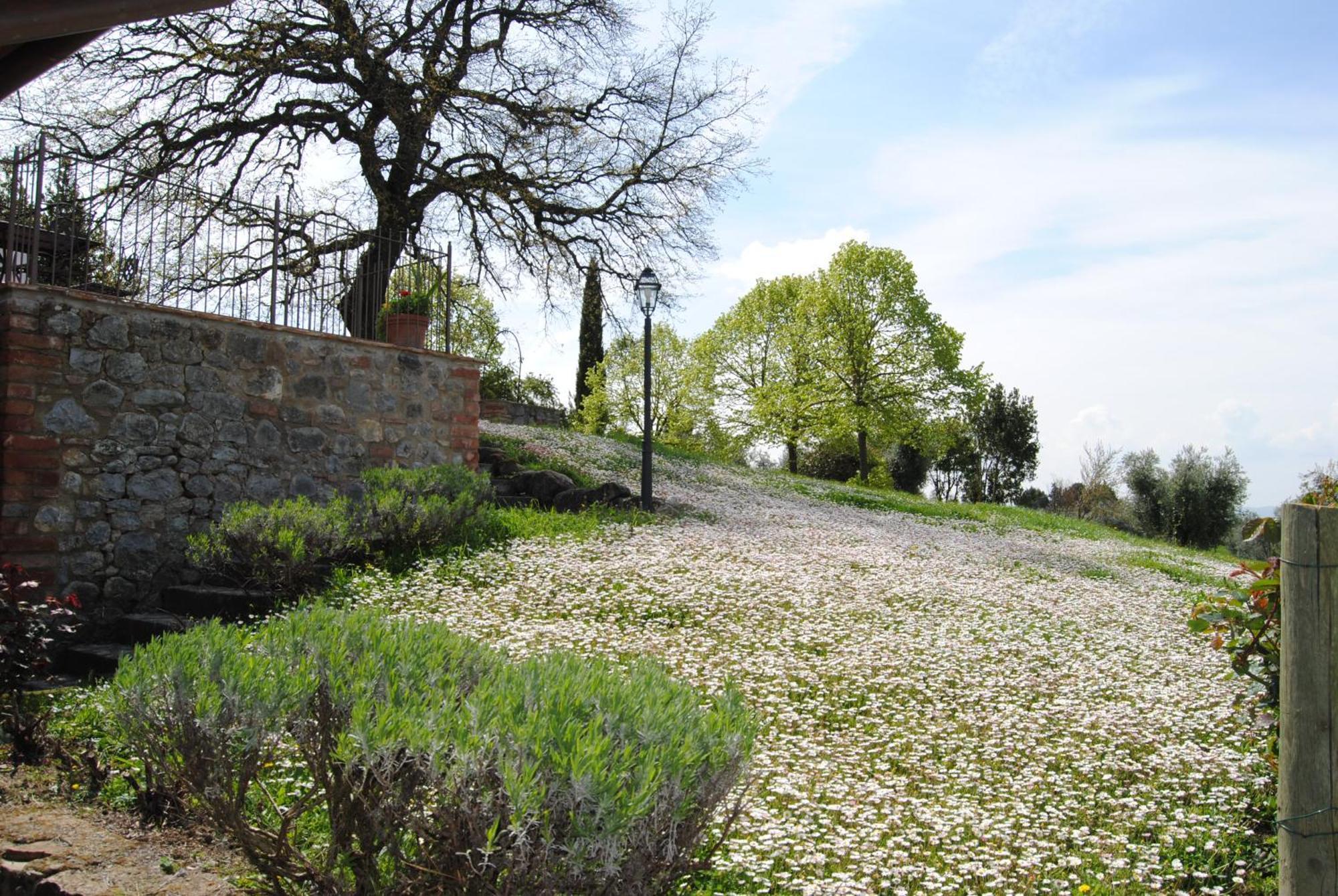 Agriturismo Cornieto Monteleone d'Orvieto Exterior photo