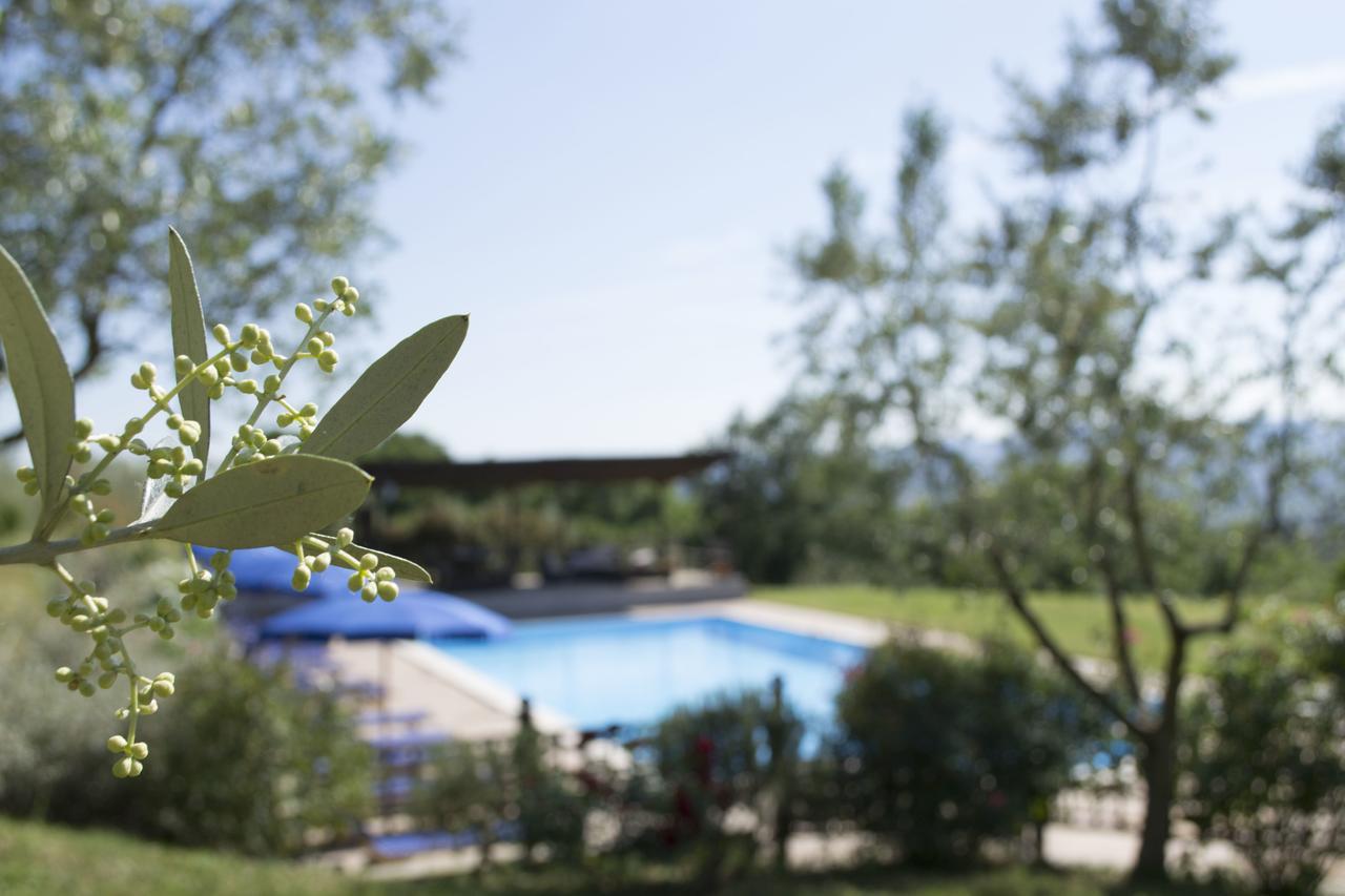 Agriturismo Cornieto Monteleone d'Orvieto Exterior photo